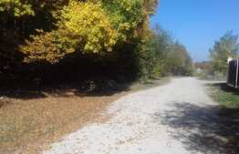 Casa finisata, 120 utili, 250 teren, zona de exceptie!