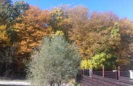 Casa finisata, 120 utili, 250 teren, zona de exceptie!