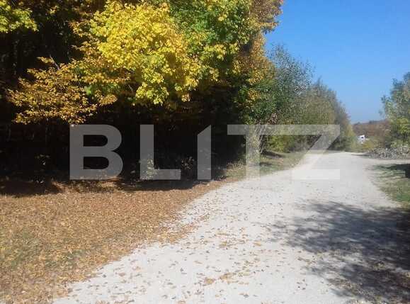 Casa de vânzare 4 camere Manastur - 42207CV | BLITZ Cluj-Napoca | Poza18