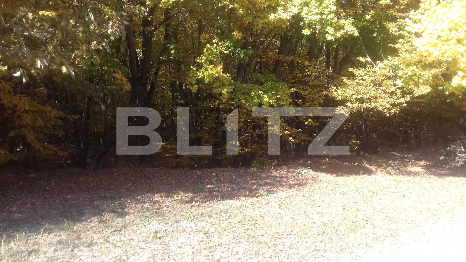 Casa de vânzare 4 camere Manastur - 42207CV | BLITZ Cluj-Napoca | Poza19