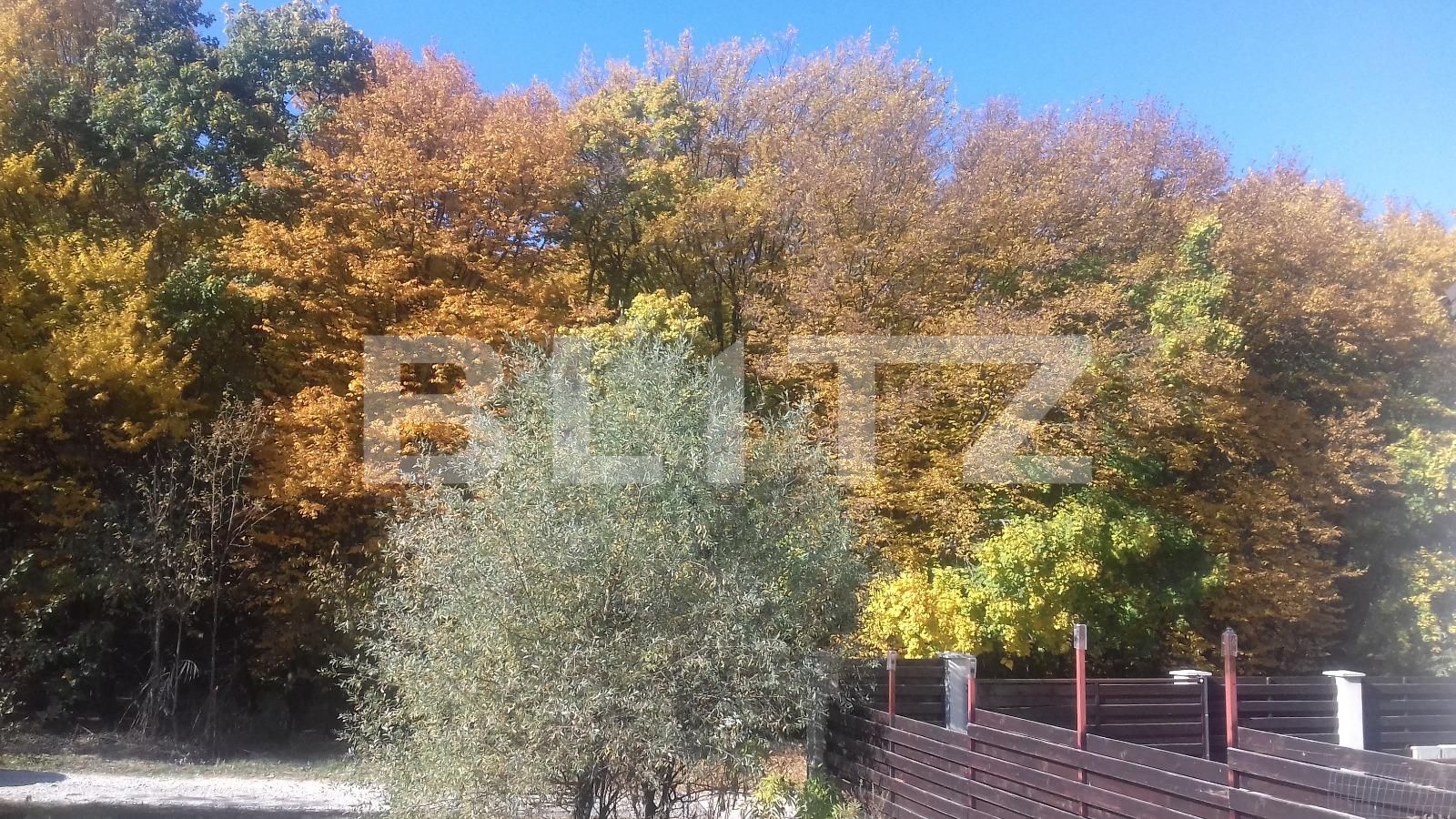 Casa de vânzare 4 camere Manastur - 42207CV | BLITZ Cluj-Napoca | Poza17