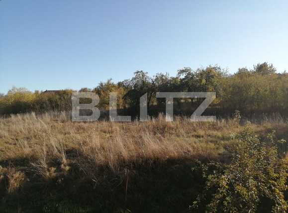 Casa de vânzare 7 camere Exterior Sud - 42214CV | BLITZ Cluj-Napoca | Poza18