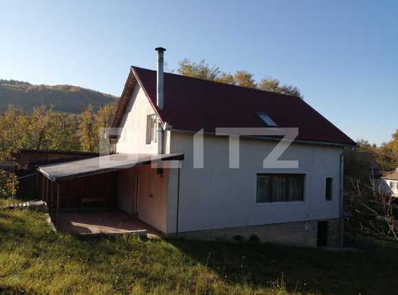 Casa de vânzare 7 camere Exterior Sud - 42214CV | BLITZ Cluj-Napoca | Poza2