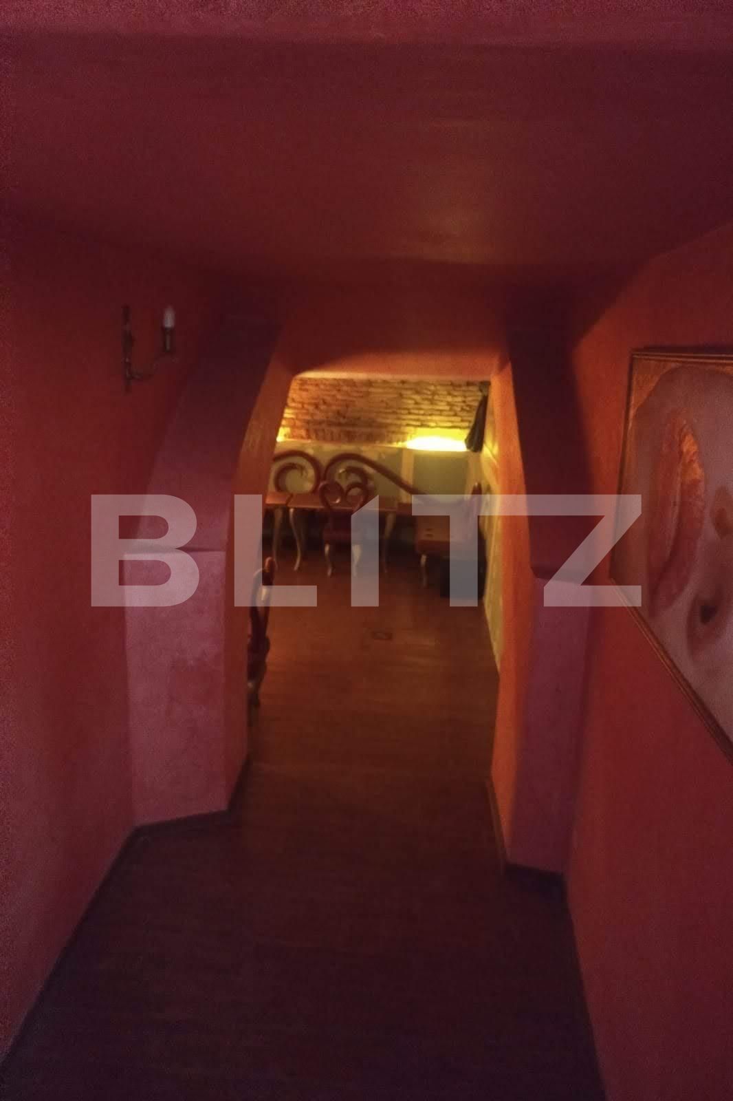 Spațiu comercial de închiriat Central - 42215SIC | BLITZ Cluj-Napoca | Poza2