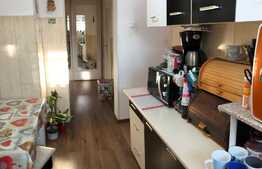 Daca vrei un interior gandit pentru familie, atunci acesta este apartamentul ideal pentru tine! Nu mai sta pe ganduri!