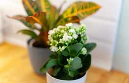 Apartament 2 camere, 50 mp, imobil nou, garaj, Grand Park Residence