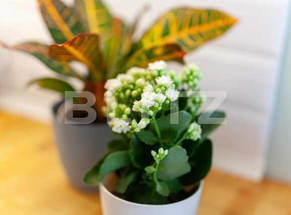 Apartament de închiriat 2 camere Gheorgheni - 42222AI | BLITZ Cluj-Napoca | Poza16