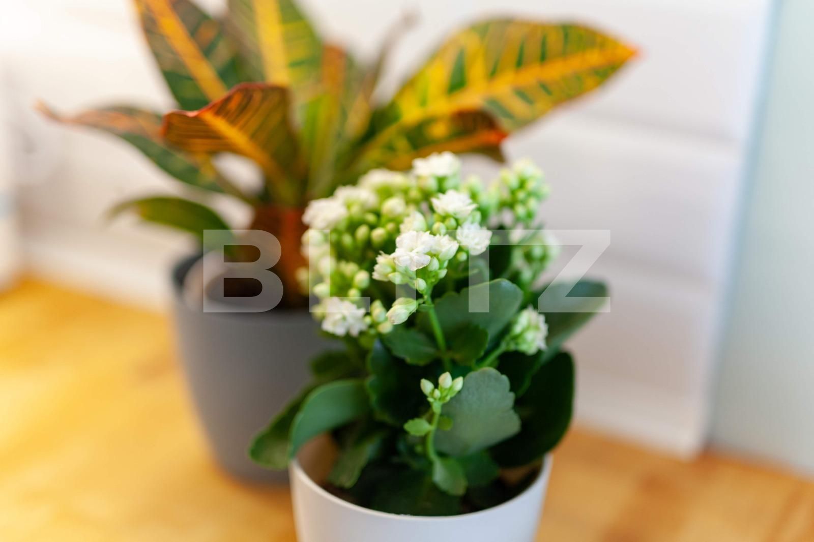 Apartament de închiriat 2 camere Gheorgheni - 42222AI | BLITZ Cluj-Napoca | Poza16