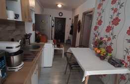 Finisaje moderne, balcon inchis, zona Porii