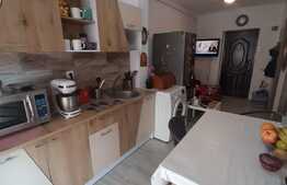 Finisaje moderne, balcon inchis, zona Porii