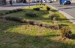 Spatiu in cladire istorica, 207 mp, zona Piezisa