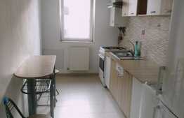 Apartament 1 camera, 42 mp, Zona Florilor