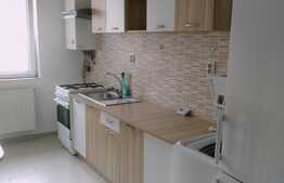 Apartament 1 camera, 42 mp, Zona Florilor