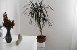 2 camere, spatios,  modern/lux, 54mp, zona Vivo