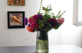 2 camere, spatios,  modern/lux, 54mp, zona Vivo