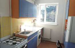 Apartament 2 camere, 50 mp, zona strazii Unirii