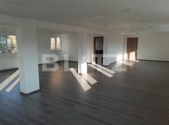 Spațiu birouri de închiriat Manastur - 42291SIB | BLITZ Cluj-Napoca | Poza4