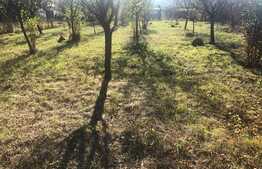 Casa individuala, 180 mp utili, teren de 1400 mp! Zona de case, Gilau ! 