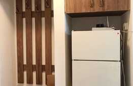 Garsoniera, 30 mp, moderna, zona strazii Detunata