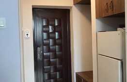 Garsoniera, 30 mp, moderna, zona strazii Detunata