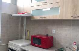 Garsoniera, 30 mp, moderna, zona strazii Detunata