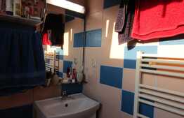 Casa pe un singur nivel, 500 mp teren, Dambu Rotund