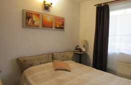 Casa pe un singur nivel, 500 mp teren, Dambu Rotund