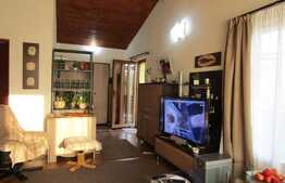 Casa pe un singur nivel, 500 mp teren, Dambu Rotund