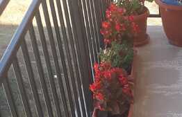 Apartament 2 camere, 45mp Zona Urusagului