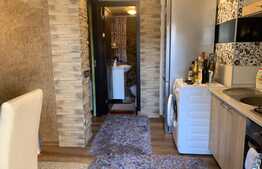 Casa individuala in zona Parcului Central