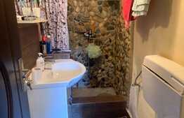 Casa individuala in zona Parcului Central