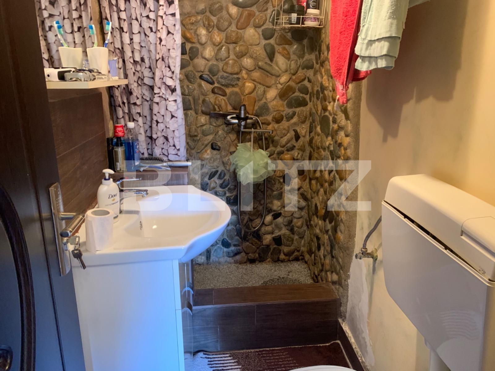 Casa de vânzare 3 camere Plopilor - 42339CV | BLITZ Cluj-Napoca | Poza4