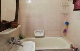 Garsoniera, 32 mp, pet friendly, zona Big 