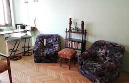 Garsoniera, 32 mp, pet friendly, zona Big 