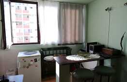 Garsoniera, 32 mp, pet friendly, zona Big 