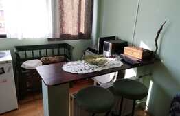 Garsoniera, 32 mp, pet friendly, zona Big 