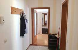 Apartament 2 camere, decomandat, 54mp, zona Muzeul Apei!