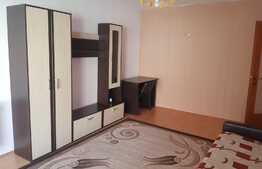 Apartament 2 camere, decomandat, 54mp, zona Muzeul Apei!