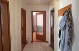 Apartament 2 camere, decomandat, 54mp, zona Muzeul Apei!