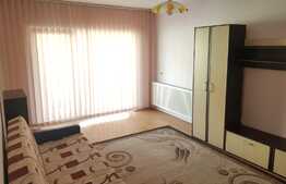 Apartament 2 camere, decomandat, 54mp, zona Muzeul Apei!