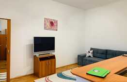 Garsoniera 30 mp, mobilata modern, zona NTTData