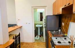 Garsoniera 30 mp, mobilata modern, zona NTTData