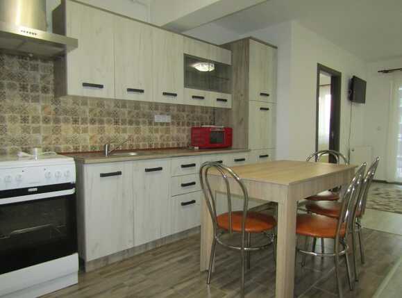 Garsonieră de închiriat Baciu - 42364AI | BLITZ Cluj-Napoca | Poza1