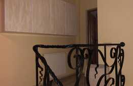 2 camere, 81mp, parcare, prima inchiriere, zona Buna Ziua.Petfriendly!