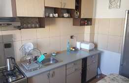 Apartament etaj intermediar, nisa dormit + living, loc parcare! Zona strazii Florilor!