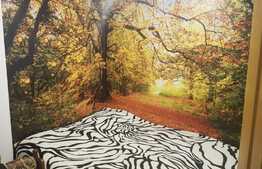 Apartament etaj intermediar, nisa dormit + living, loc parcare! Zona strazii Florilor!