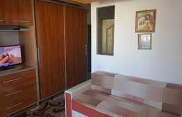 Apartament etaj intermediar, nisa dormit + living, loc parcare! Zona strazii Florilor!