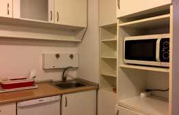 Apartament 1 camera, panorama deosebita, zona Parang