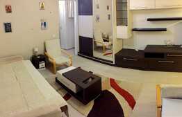 Apartament 1 camera, panorama deosebita, zona Parang