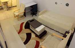 Apartament 1 camera, panorama deosebita, zona Parang